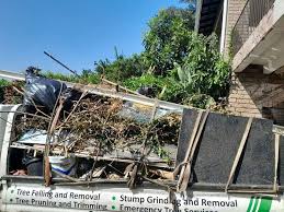 Best Electronics and E-Waste Disposal  in Pleasanton, TX